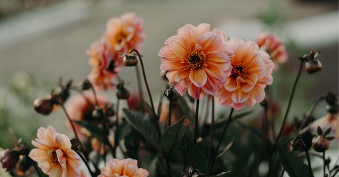 Hyperbaric Oxygen Therapy